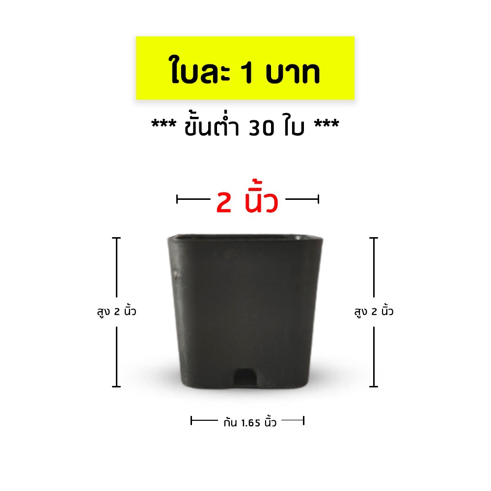 [ใบละ 1 บาท] กระถางกระบองเพชร ทรงสี่เหลี่ยม 2 นิ้ว สีดำ สั่งขั้นต่ำ 30 ใบ