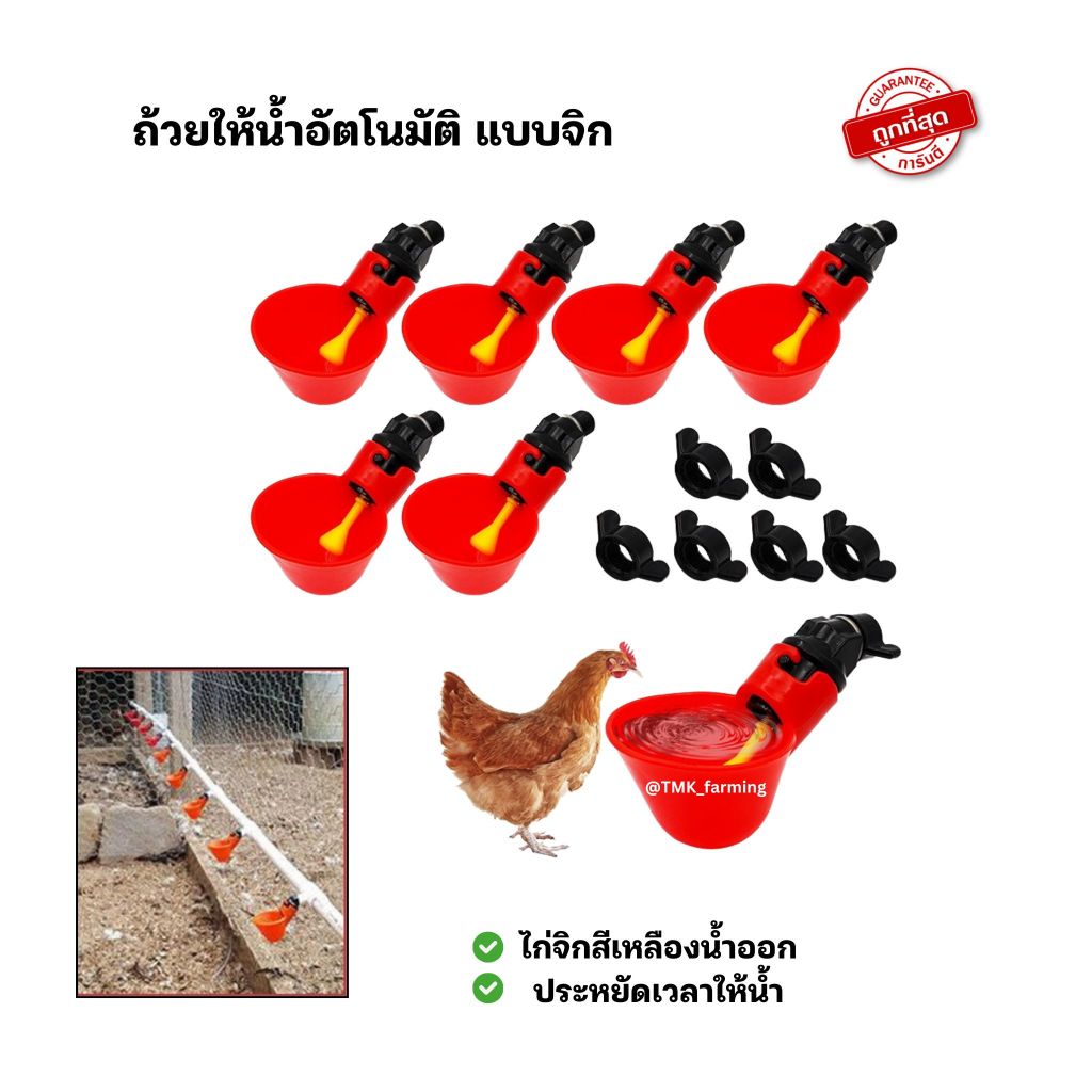 ถ้วยน้ำไก่อัตโนมัติตัดน้ำเอง [ไก่จิกสีเหลือง] ชามน้ำดื่มอัตโนมัตินกกระทา