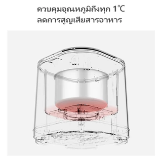 【Kawu】เครื่องต้มไข่อัตโนมัติ 300W หม้อต้มไข่อเนกประสงค์ ที่ต้มไข่ไฟฟ้า วัสดุเกรดอาหาร XM-ZD10