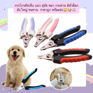 AL-664 กรรไกรตัดเล็บ แมว สุนัข หมา กระต่าย มีตัวล็อก อันใหญ่ ทนทาน  ราคาถูก พร้อมส่ง🐱🐶🐰