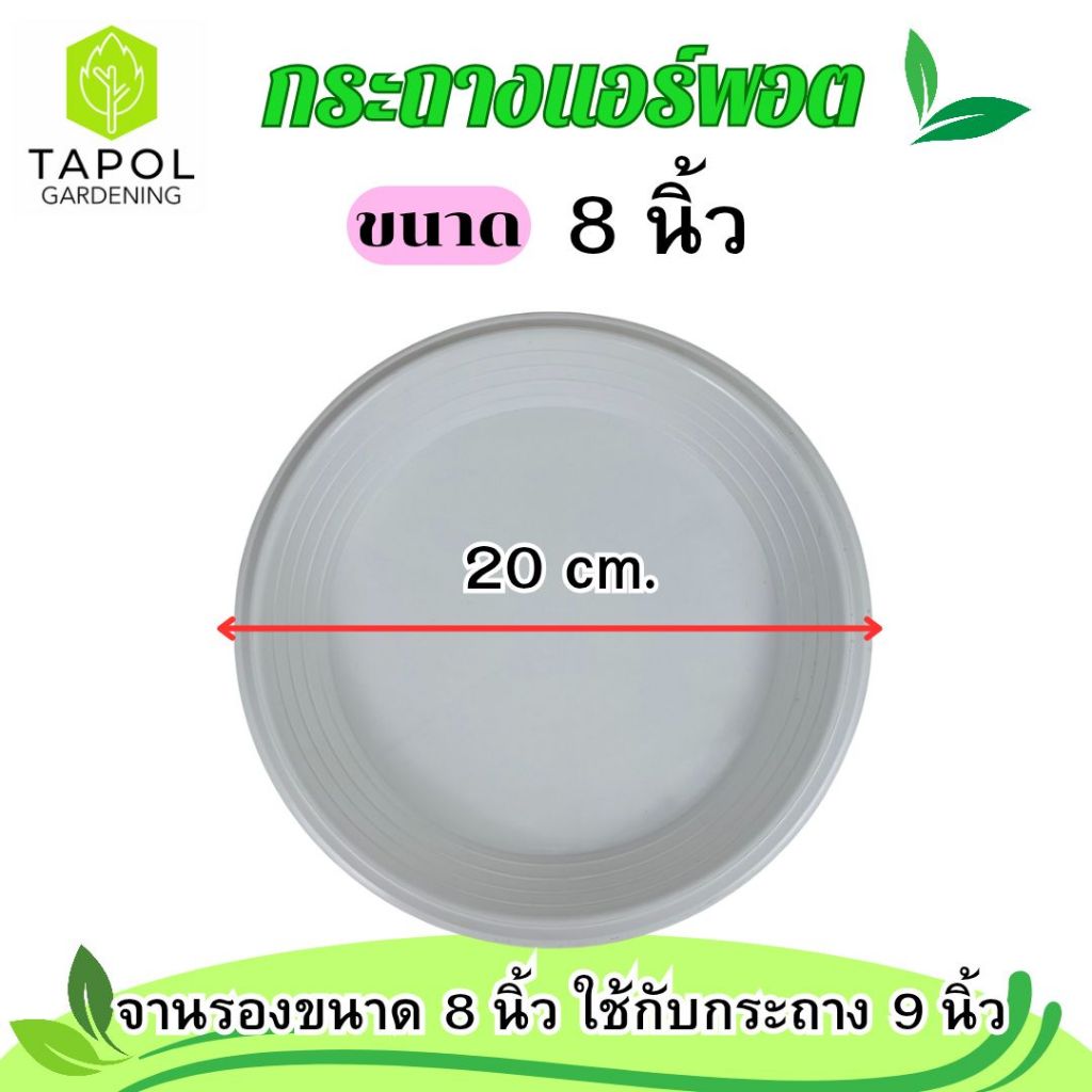 กระถางแอร์พอต ขนาด 9 นิ้ว / 12 นิ้ว กระถางระบายน้ำได้ดี รากแข็งแรง รากไม่เน่า พลาสติกคุณภาพดี ทนทาน น้ำหนักเบา ราคา ถูกที่สุด ดีลบีเคเค แกลเลอรีภาพที่ 6