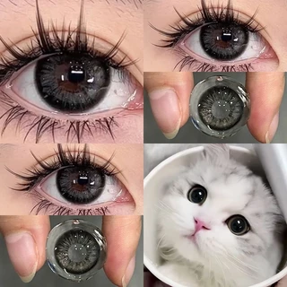 【-100°-600°】Midroo บิ๊ก อาย ตาประกาย เลนส์บิ๊กอายน่ารักThai Tea Grey/ Black 14.5mm-1คู่ รายเดือน