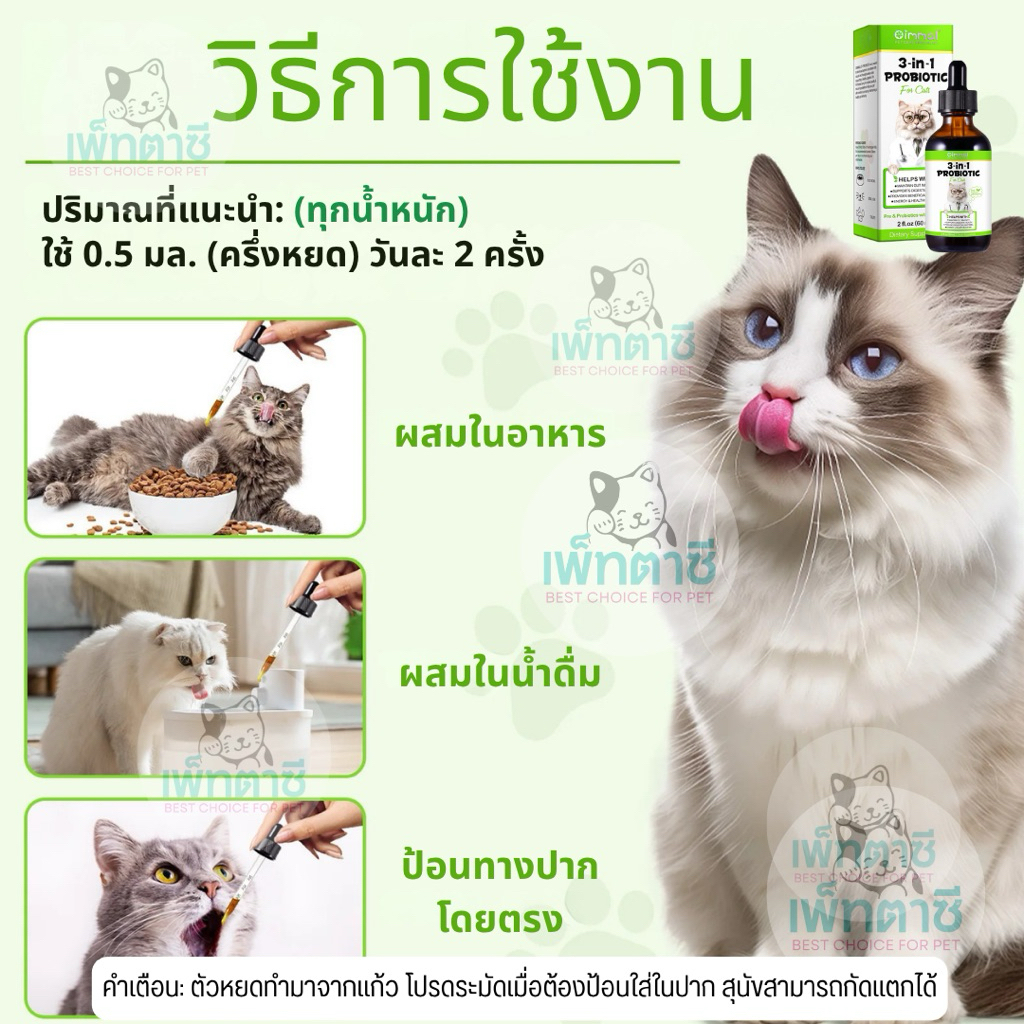 รูปภาพ 9