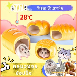 [Sooangel]หนูแฮมสเตอร์เม่นฤดูร้อนเย็นลงและเย็นลงกระท่อมน้ำแข…