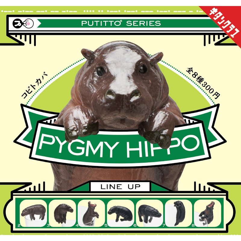**ของแท้ พร้อมส่ง** ฮิปโปแคระ เกาะแก้ว Capsule Figure Putitto Pygmy Hippo