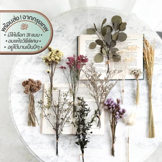 Mini Bouquet-Assorted ช่อดอกไม้ ใบไม้ ธัญพืชแห้ง | อบ แห้ง ธัญพืช ต้นไม้ ดอกไม้ ใบไม้ ไม้เลื้อย ไม้ประดับกิ่ง