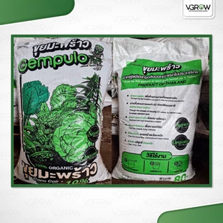 Gempulo Coco peat 100% ขุยมะพร้าวล้วน ขนาด 80 ลิตร ล้างทำความสะอาดสารแทนนินแล้ว ขุยมะพร้าวถุงใหญ่