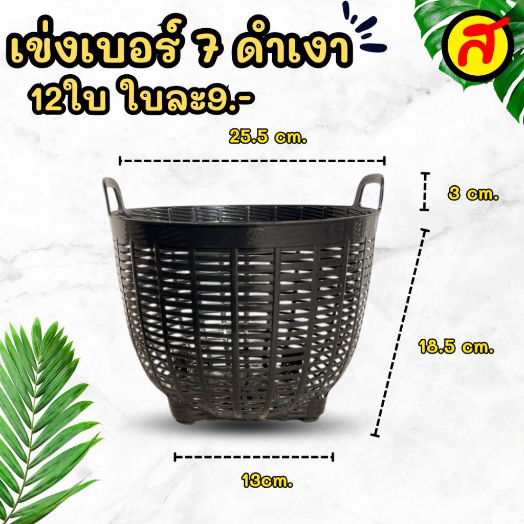 รูปภาพ 2