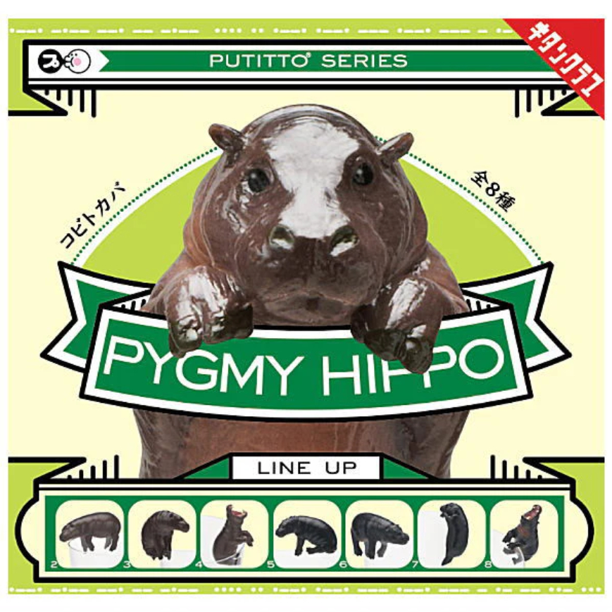 🌟พร้อมส่ง🌟 กาชาปอง PUTITTO Pygmy Hippo