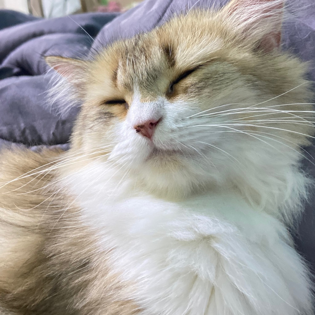 เสื้อผ้ามือสอง Ep.1!!