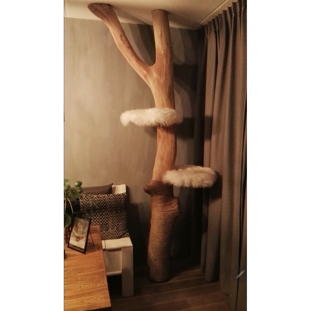 Large Cat Tree for Cats (Maine Coon)