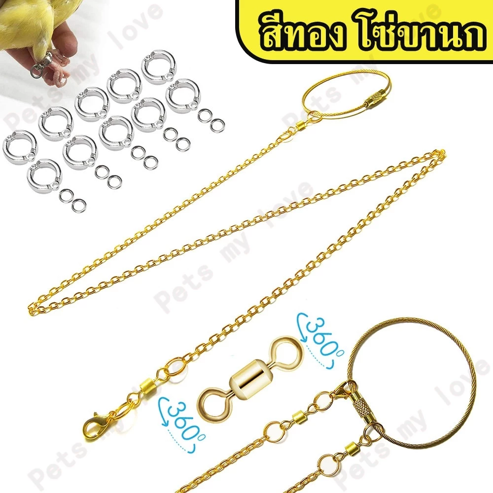 สีทอง โซ่ขานกแก้ว โซ่คล้องขานก โซ่นก พร้อมห่วงขานก ห่วงขานกหัวจุก ห่วงเปิดนก ฟอพัส หงษ์หยก เลิฟเบิร์