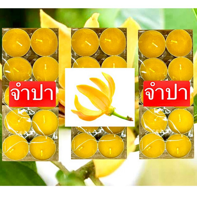 เทียนหอม กลิ่นดอกจันทร์กระพ้อ จำปี จำปา พิกุล คาโมมายด์ ราคา/1แพค รูปที่ 2