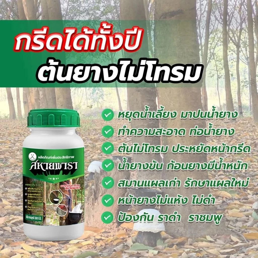 ยาทาหน้ายางพารายาเร่งน้ำยางสหายพารา