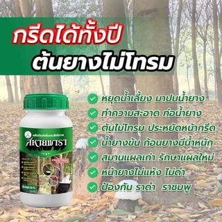 ยาทาหน้ายางพารายาเร่งน้ำยางสหายพารา