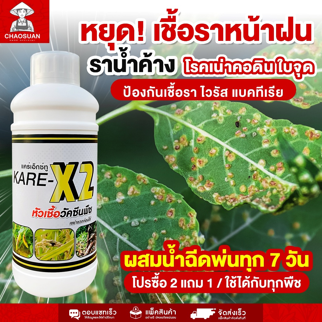 หยุด! เชื้อราหน้าฝน ราน้ำค้าง โรคใบจุด คอดิน ได้อยู่หมัด! KARE-X2 หัวเชื้อจุลินทรีย์สูตรเข้มข้น ป้องกันเชื้อรา ไวรัส