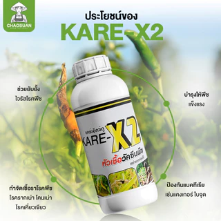 แก้ยางตายนึ่ง ราเส้นดำ เปลือกเน่า รากเน่า โคนเน่า! หยุดโรคร้ายในต้นยาง ครบ จบ ในขวดเดียว! KARE-X2 แคร์เอ็กซ์ทู