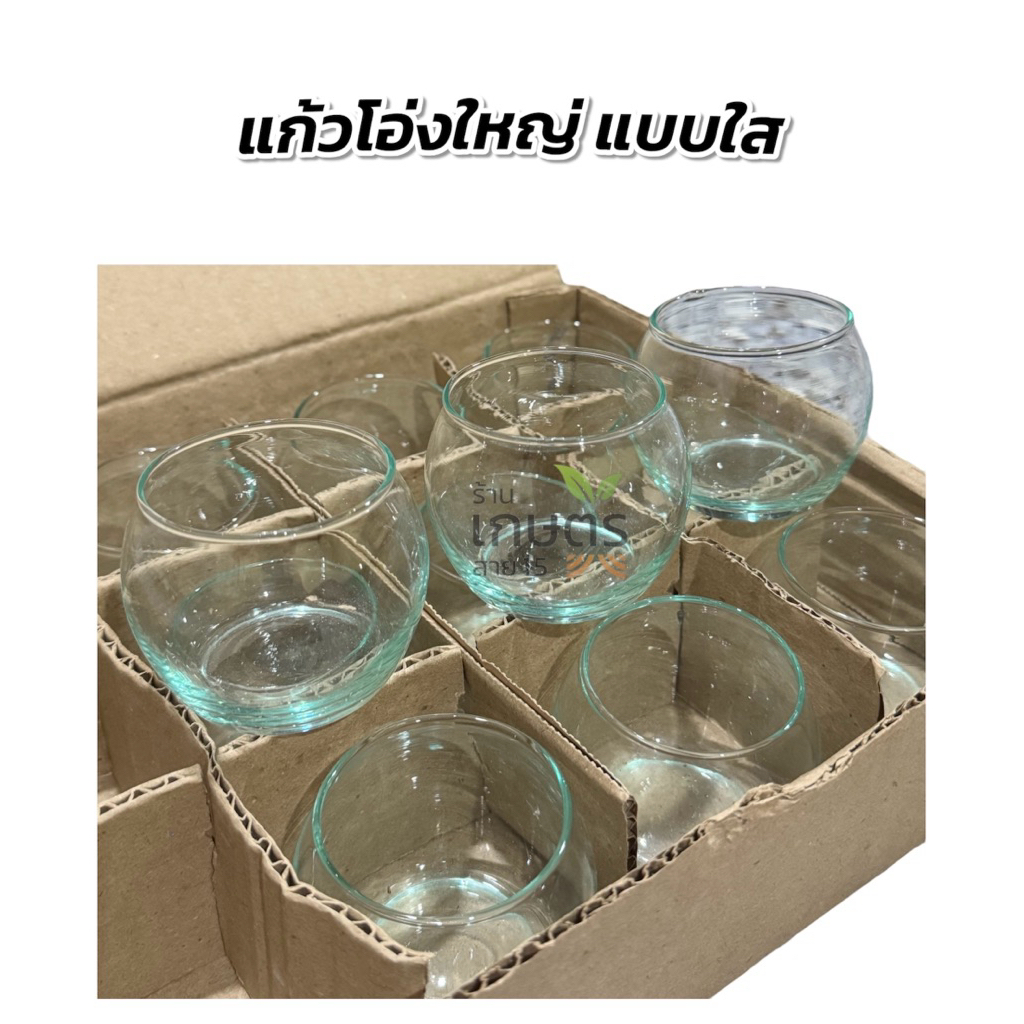 แก้วน้ำนก แก้วอาหารนก ทรงโอ่ง ใบใหญ่