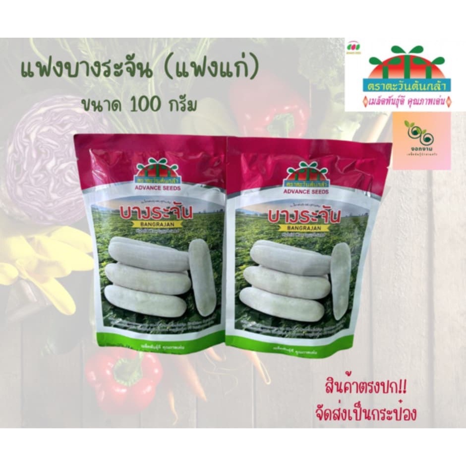 เมล็ดแฟงแก่บางระจัน ขนาด 100 กรัม