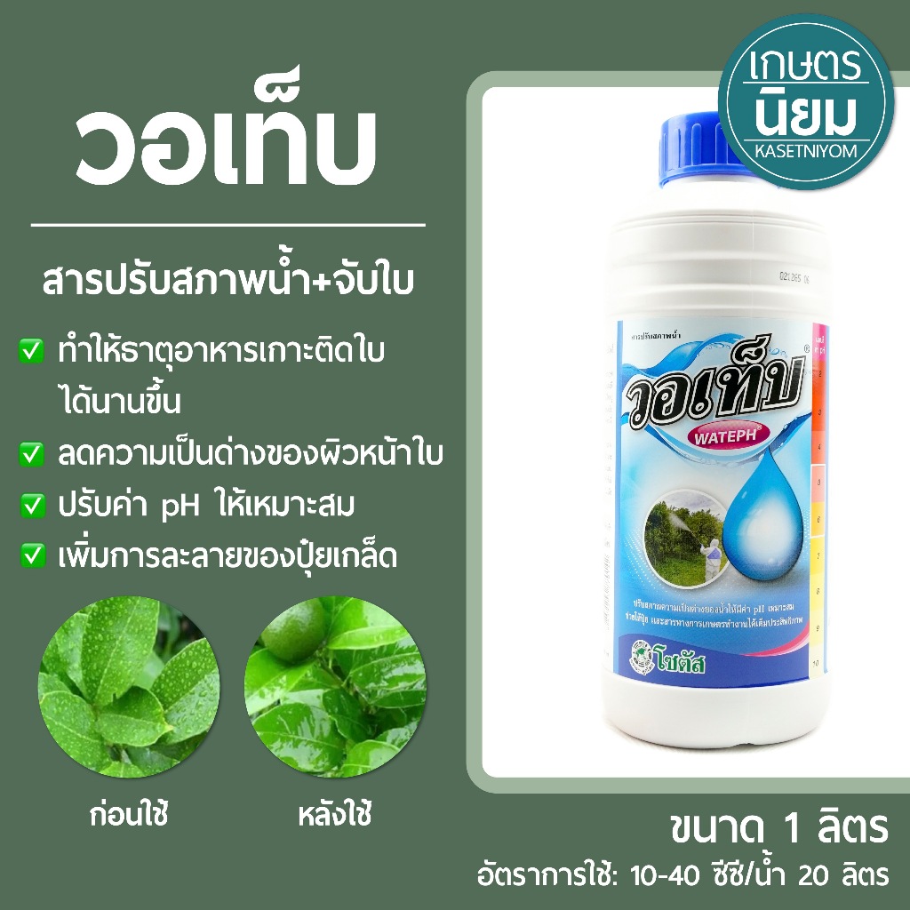 วอเท็บ (สารปรับสภาพน้ำ+จับใบ) 1 ลิตร