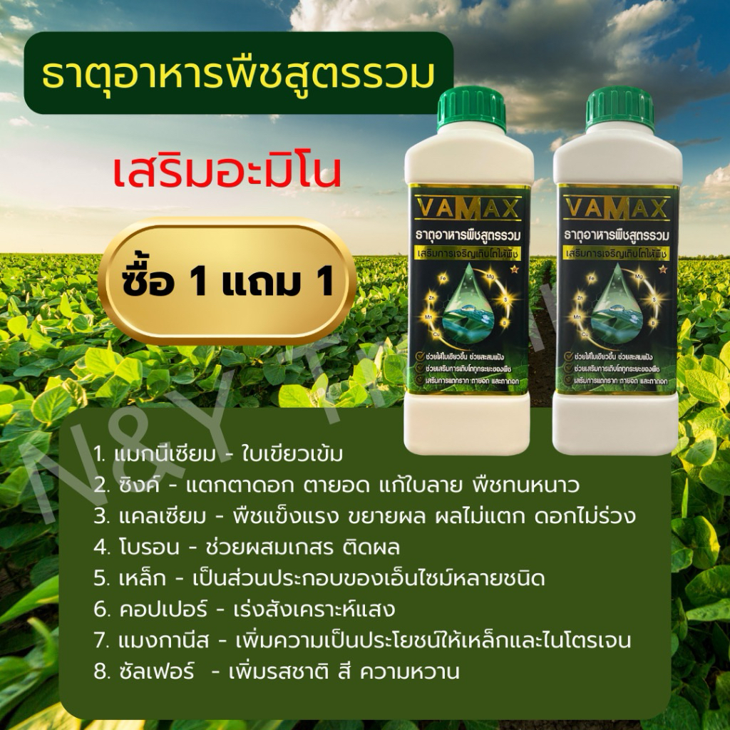 Zenmax , Vamax , Cabmac , Bionax อะมิโน รวม , ปุ๋ยน้ำ สูตรรวม , สารจับใบ  โปร 1 แถม 1 - รูปที่ 6