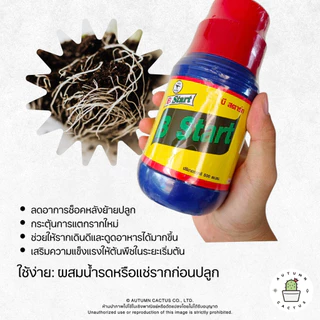 น้ำยาบำรุงราก วิตามินบีวัน (B1) สำหรับเร่งราก บำรุงรากให้เติบโต ยี่ห้อทีเร็กซ์ บี-วัน สตาร์ท(T-rex B-1 Start)