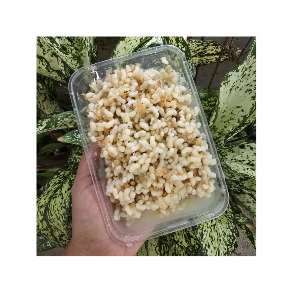 ไข่มดแดง แบ่งขายกล่องละ500กรัม อร่อยมากโปรตีนสูงไข่มันต่ำ เก็บสดและนำไปแช่แข็ง (หลังละลายน้ำหนักจะหายนิดหน่อยนะครับ )
