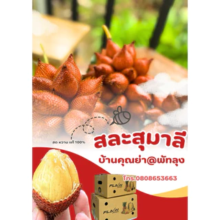 สละสุมาลี บ้านคุณย่า@พัทลุง 1 กก. #หวานหอม#สดจากสวน🔥#โปรโมชั่น #สวนใหม่