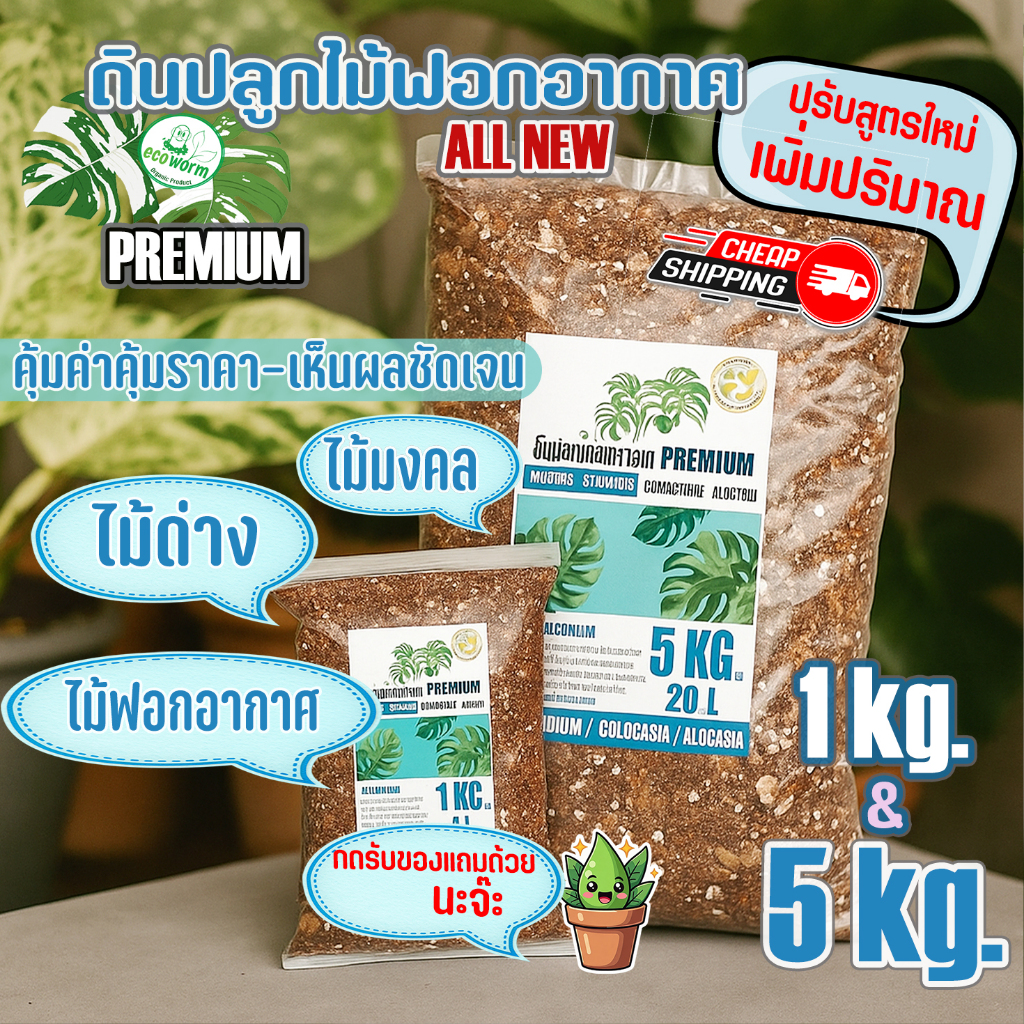 ดินปลูก มอนสเตอร่า Premium ต้นไม้ฟอกอากาศ ต้นไม้มงคล ส่งฟรี มีของแถม