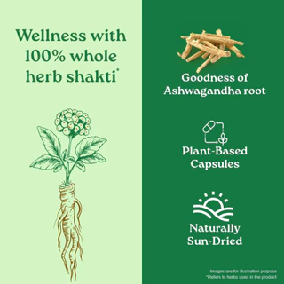 โสมอินเดีย ออร์แกนิค ORGANIC INDIA Ashwagandha Capsules - 60 แคปซูล