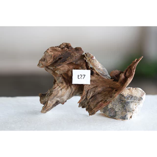 ตอไม้ Driftwood ( คัดเกรด ) set t