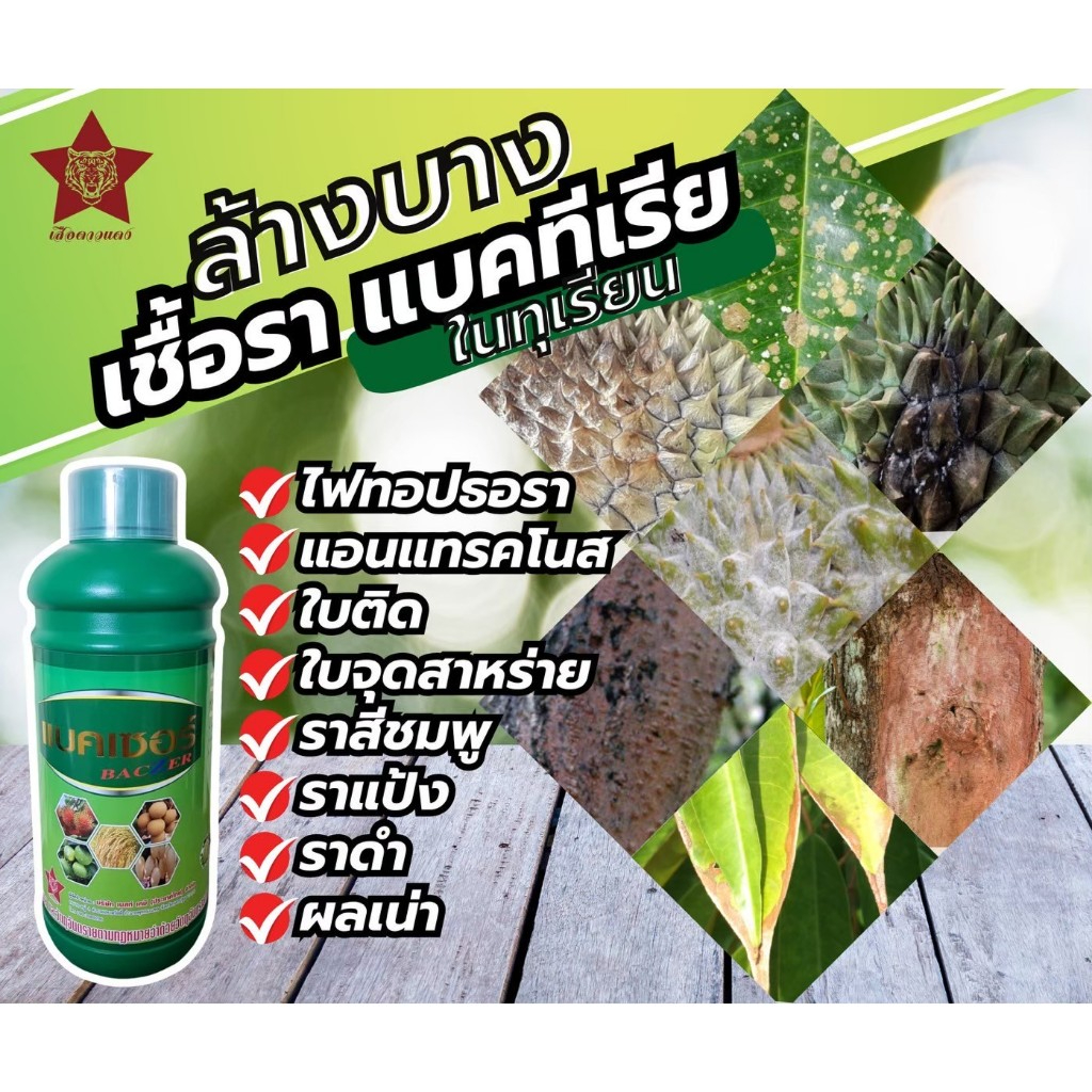 บริษัท เบสท์ เคมี แบคเซอร์ ป้องกัน ยับยั้ง ควบคุม เชื้อรา แบคทีเรีย และไวรัส กลุ่มสารโคโตซาน เข้มข้น ชนิดพิเศษ