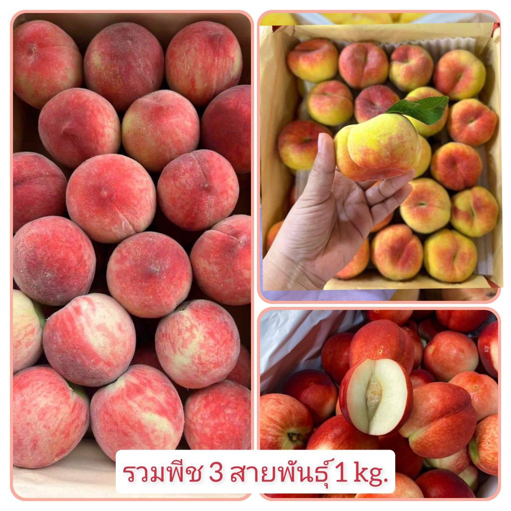 setรวม 3 พีช 1 kg.พีชน้ำผึ้ง พีชโดนัท พีชมัน(แนคทารีน)