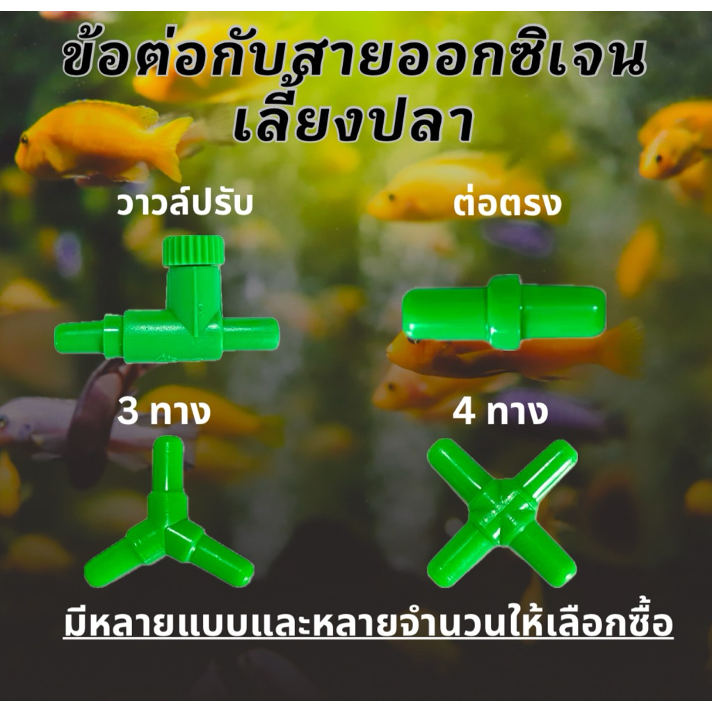 วาล์วปรับแรงดันลม วาล์วปรับลม วาล์วลม ตู้ปลา ข้อต่อออกซิเจนตู้ปลา ต่อตรง 3ทาง 4ทาง ปั้มออกซิเจนตู้ปลา สายออกซิเจน สายยาง