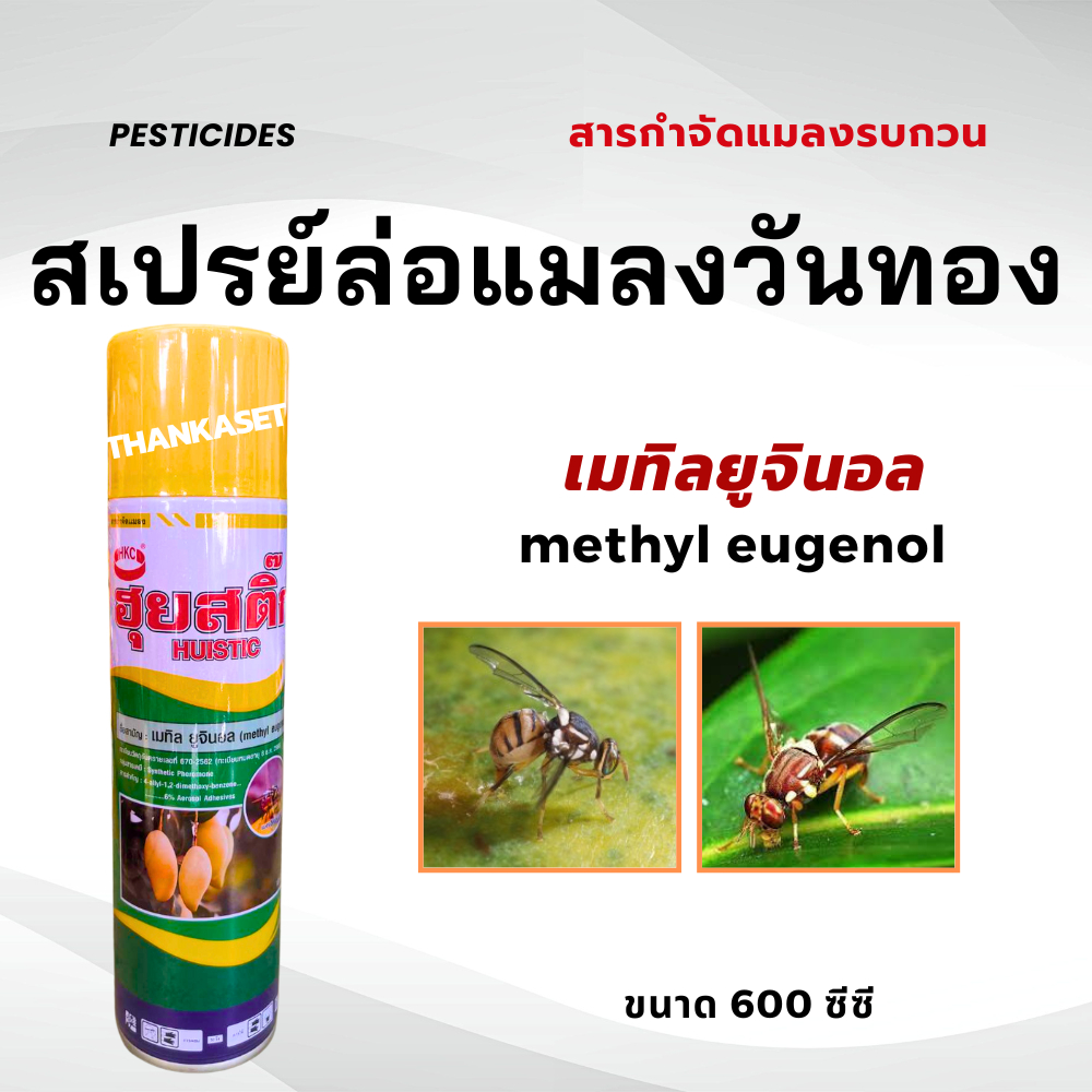 สารล่อแมลงวันทอง ชนิดสเปรย์ เมทิลยูจินอล Methyl eugenol ขนาด 600มิลลิลิตร แมลงวันทอง fruit fly