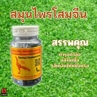 ไก่ทอง บำรุงไก่ แคลเซียม โสมจีน