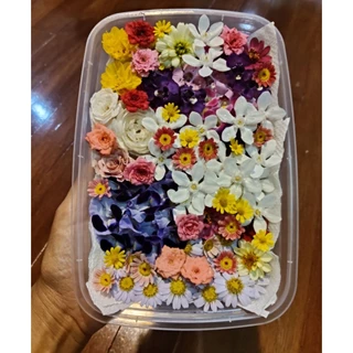 *แนะนำสั่งล่วงหน้าก่อนใช้ 24 ชม* ดอกไม้กินได้ ใบไม้ ตกแต่งขนม อาหาร