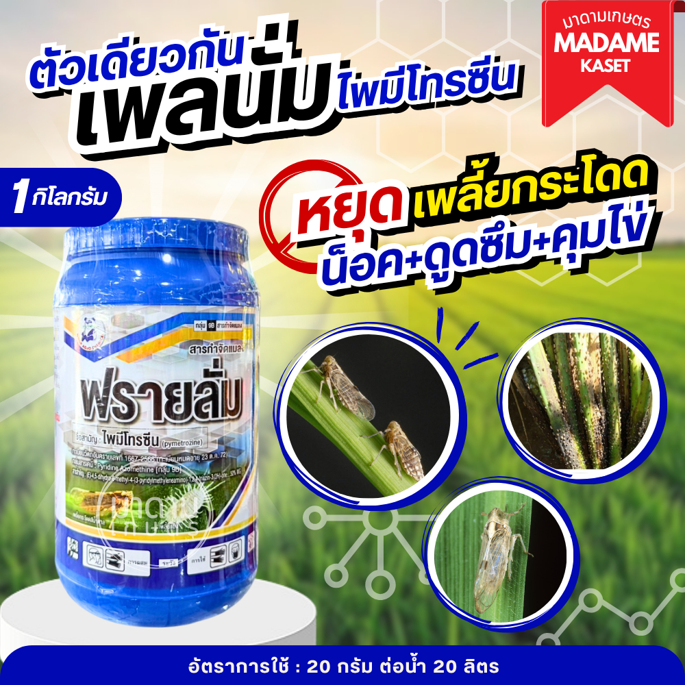 ฟรายลั่ม ขนาด 1 กิโลกรัม (ไพมีโทรซีน 50%)ตัวเดียวกับเพลนั่ม คุ้มกว่า ถูกกว่า กำจัดเพลี้ยดื้อยา เพลี้ยกระโดดสีน้ำตาล เพลี