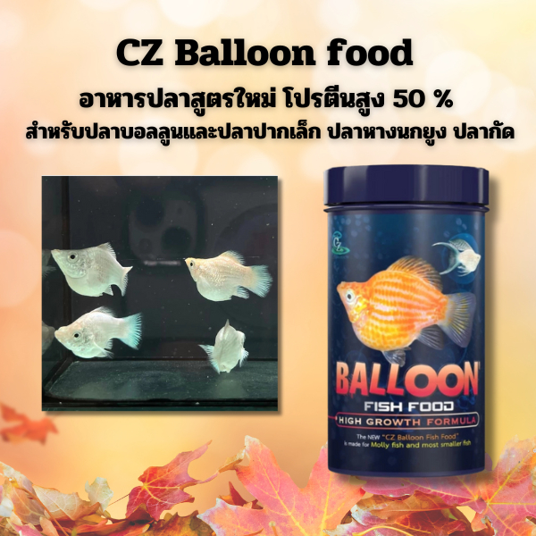 CZ Balloon food อาหารปลาสูตรใหม่ โปรตีนสูง 50 % สำหรับปลาบอลลูนและปลาปากเล็ก ปลาหางนกยูง ปลากัด