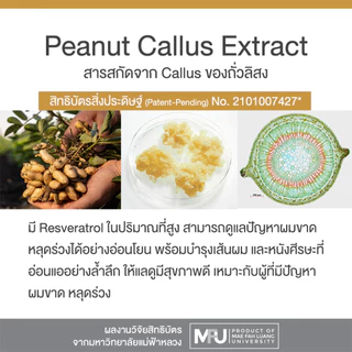 HERBITAGE RESVERA' Hair Rejuvenating Set เซรั่ม + แชมพูบำรุง ลดผมขาดหลุดร่วง ( LH )