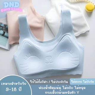 บราเด็กผู้หญิงไร้โครง ลายน้องแมว ผ้านุ่มสบาย ระบายอากาศดี ไม่มีโครง ไม่บีบรัด สำหรับเด็กวัยประถมถึงมัธยมต้น | เสื้อกล้าม