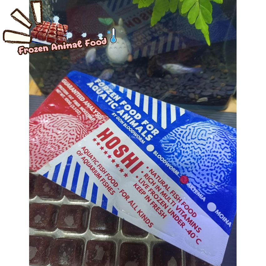 กดสั่งซื้อในตัวเลือก ชุด 1-3 แผ่น ไรแดงทะเลแช่แข็ง HOSHI แถมฟรี ถุงเก็บความเย็น เจลเย็น อาหารปลา อาหารสัตว์น้ำ
