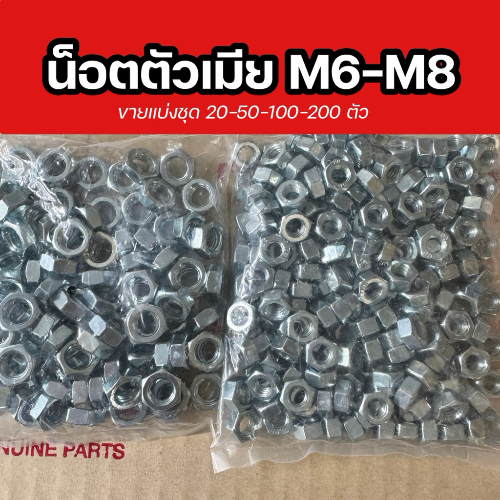 น็อตตัวเมีย สแนนเลส M6,M8