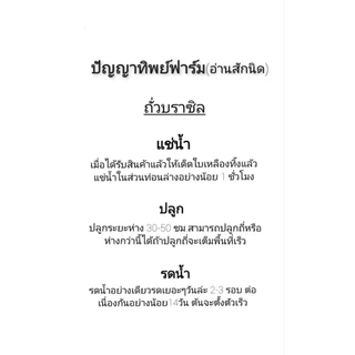 ก้านถั่วบราซิล ก.ก.ละ 99 บาท มากกว่า 250 กิ่ง รบกวนสั่งซื้อ order ละ 5 กิโลกรัมเท่านั้น