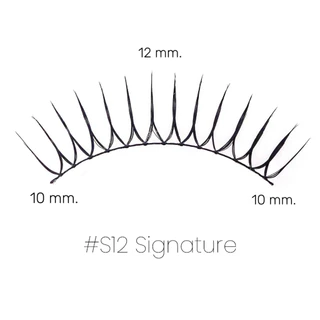 #S12 (Signature 12) 12mm. ขนตาปลอมจับช่อสไตล์เกาหลี