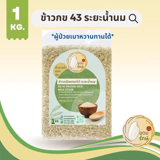 ข้าวตราอุดมรักษ์ ข้าวกล้องกข 43 ระยะน้ำนม น้ำตาลต่ำ (1กก) ผู้ป่วยเบาหวานทานได้ ไร้สารกันมอด