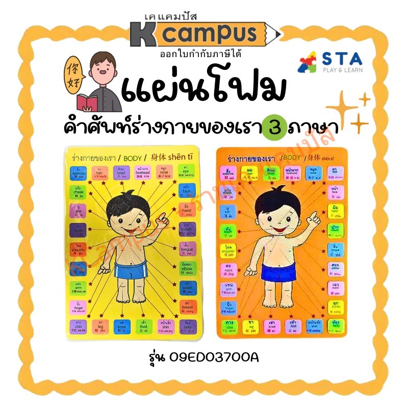แผ่นโฟม ASTA ชุดคำศัพท์ร่างกายของเรา ภาษาอังกฤษ ภาษาจีน ภาษาไทย 26 คำศัพท์ (ราคา/แผ่น)