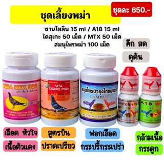 LAMPAM ลำปำ ชุดเลี้ยงตีพะม่า