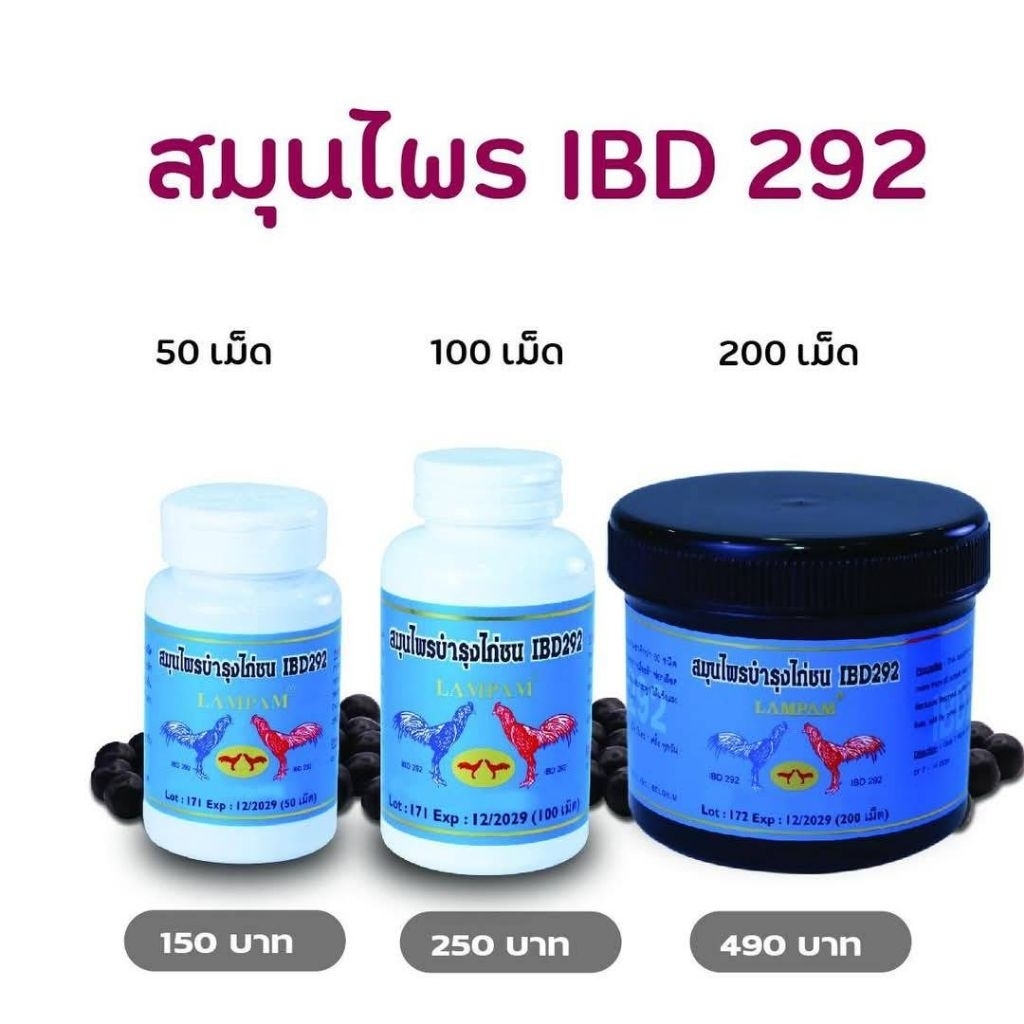 LAMPAM ลำปำ ไอบีดี292 IBD292 มี 3 ขนาด (เลือกได้)