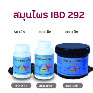LAMPAM ลำปำ ไอบีดี292 IBD292 มี 3 ขนาด (เลือกได้)